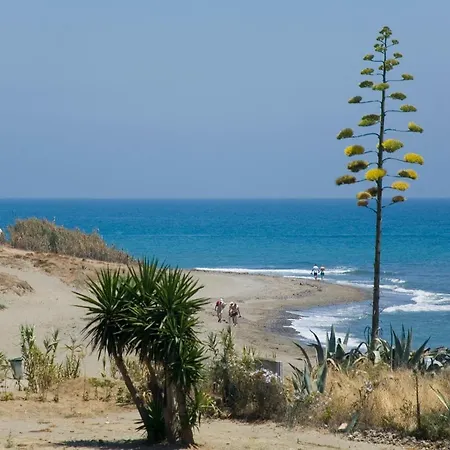 Апартаменты 322 Heaven Apartments, Guadalmansa Playa *