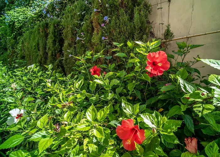 Apartman 322 Heaven Apartments, Guadalmansa Playa Estepona