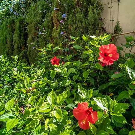 Appartement 322 Heaven Apartments, Guadalmansa Playa Estepona