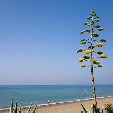 322 Heaven Apartments, Guadalmansa Playa Appartement *