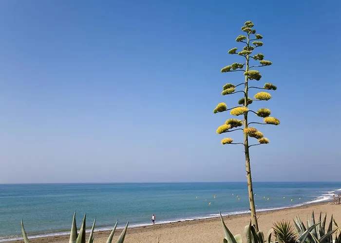 322 Heaven Apartments, Guadalmansa Playa Lägenhet *